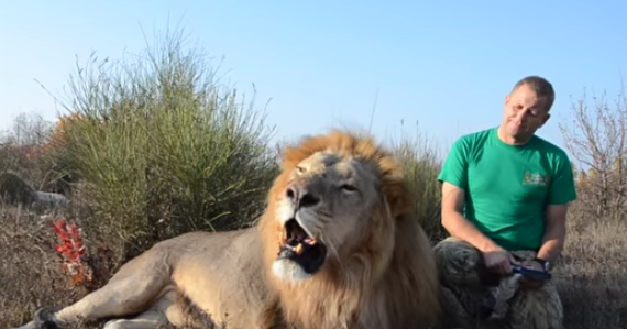 Блог Олега Зубкова: Так воплощают мечты!