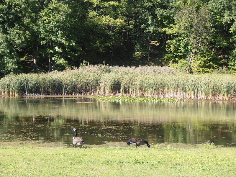 American Travel Journal Cuyahoga Valley National Park Kendall Lake