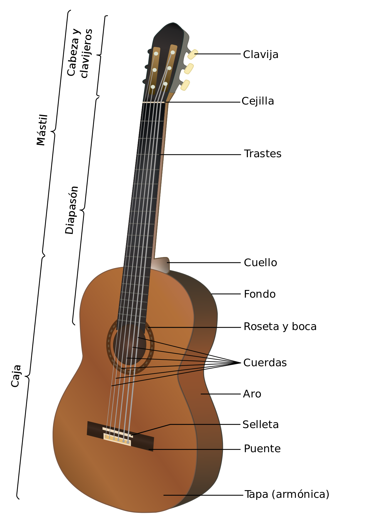 La estructura de la guitarra Musicántonos La estructura de la guitarra Musicántonos