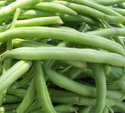 Haricot Verts - Green Beans