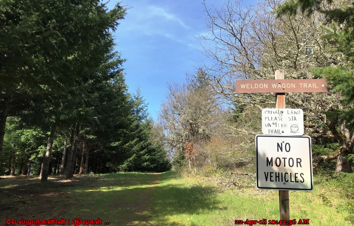 Weldon Wagon Road Hike Exploring My Life