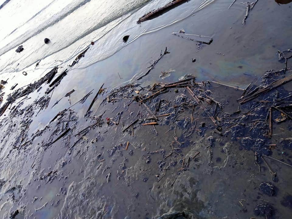 Oil Spill amidst a Pandemic Cooperation, Ingenious solutions accelerate Guimaras clean up