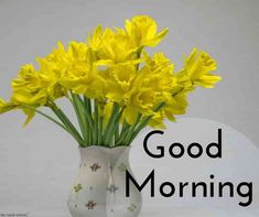 good morning flowers images hd