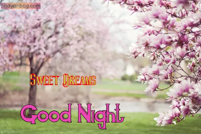 Good Night With Flowers Good Night With Flowers