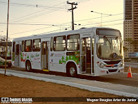 Empresas urbanas enfeitam ônibus para o Natal em Natal 3 b33d7b920d12b8692e71dc9409a73e4b