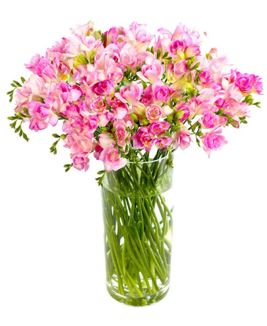 51 Freesia Like Flowers Flowyes