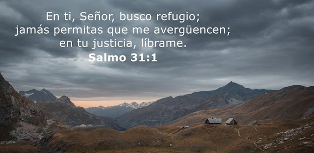 En ti, Señor, busco refugio; jamás permitas que me avergüencen; en tu justicia, líbrame.