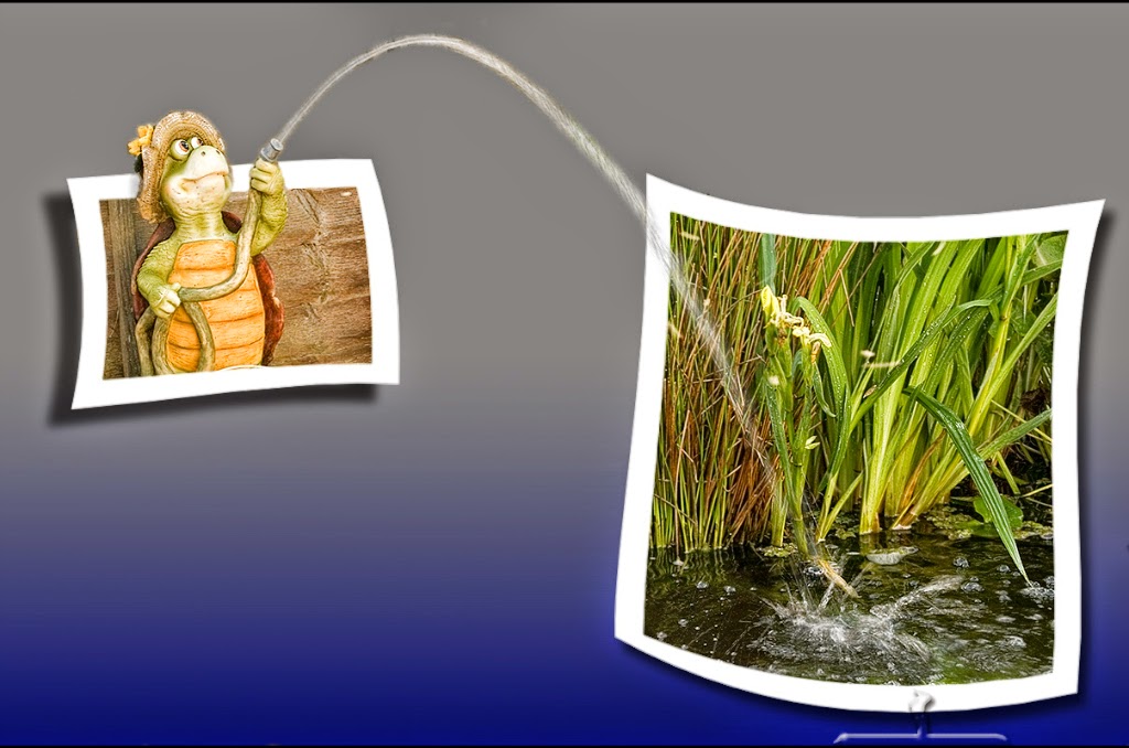 Out Of Bounds 2 walldesign