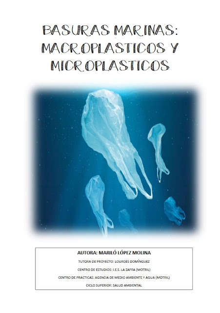 Basuras marinas, macro y microplásticos