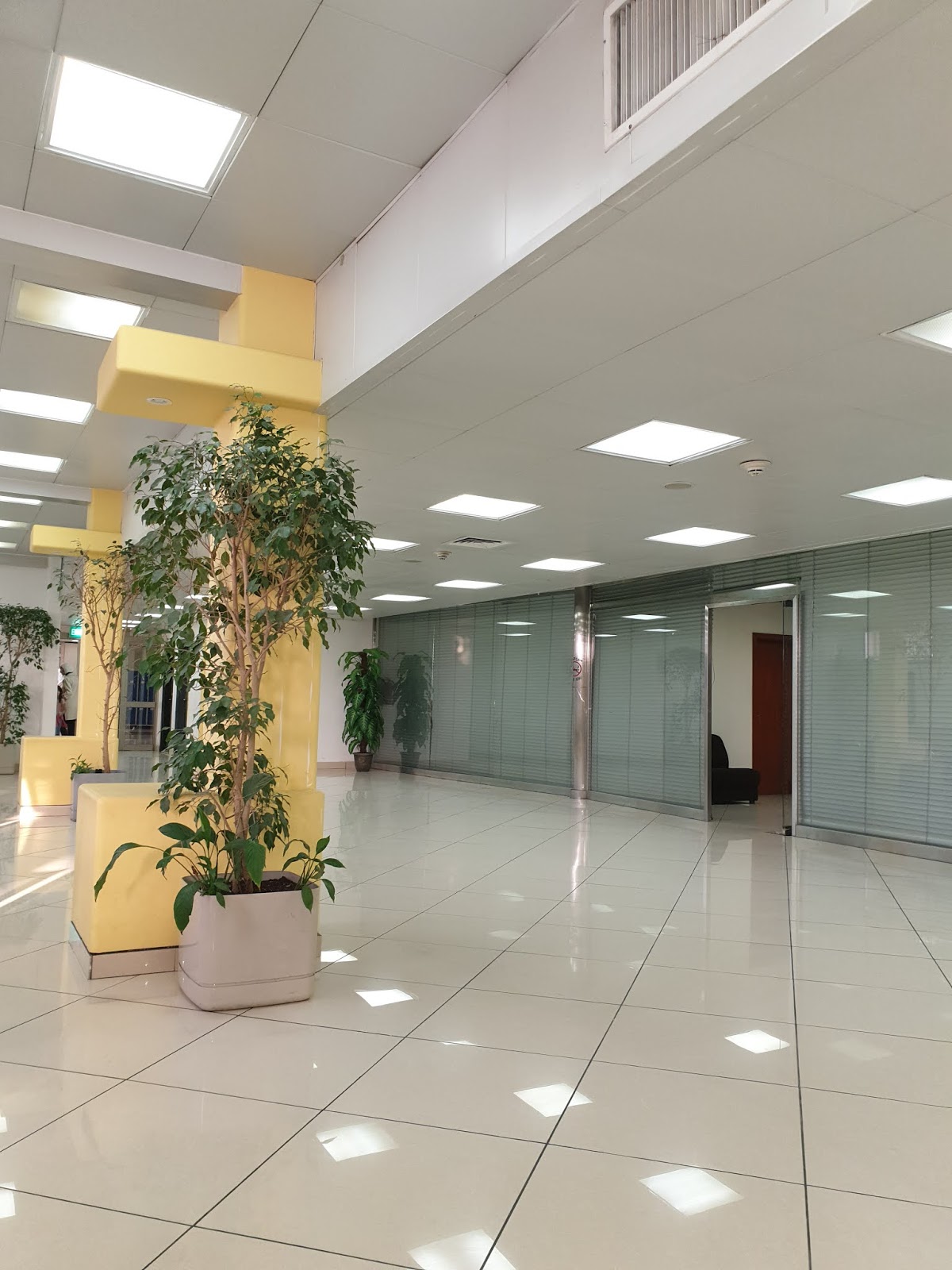 Ice Skating Rink Inwards Kuwait City What Happen World?