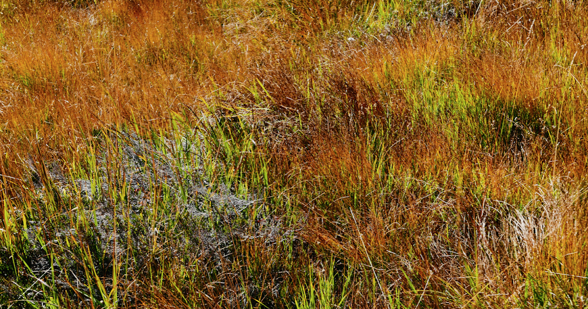 Die 30 Besten Bilder Zu Swarovski Kristallwelten Impressions In