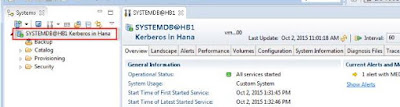 Hana security: Authentication model Kerberos/SPNEGO