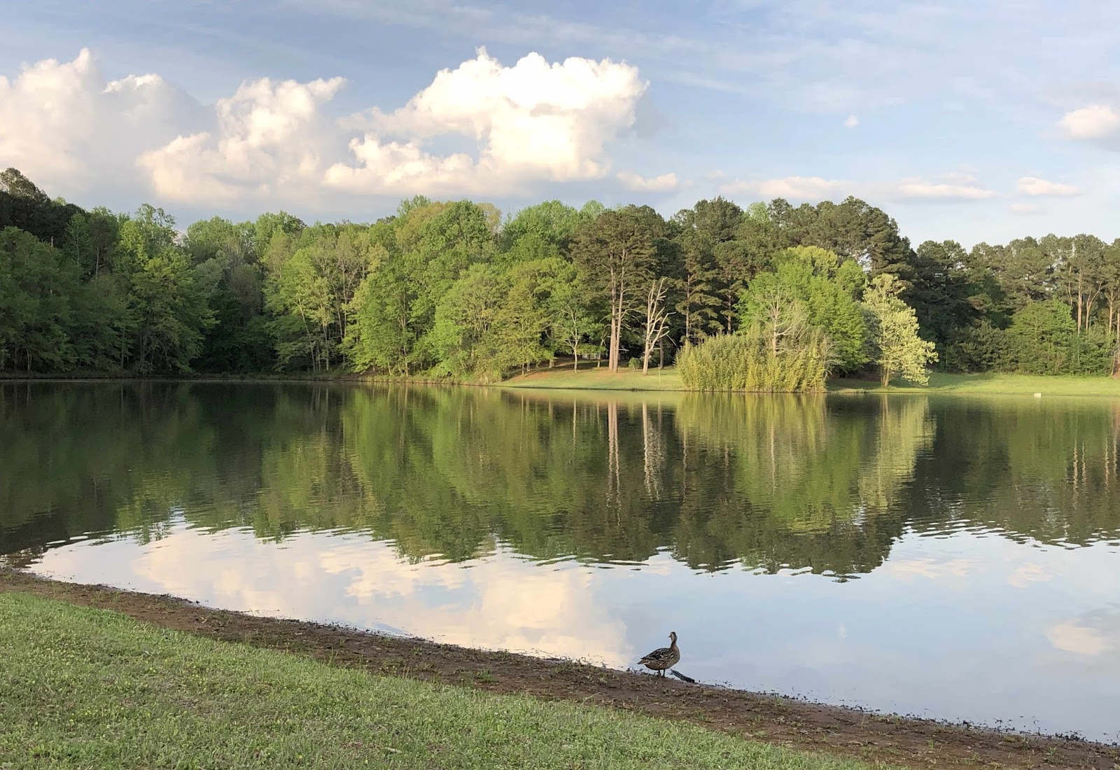 Wandering His Wonders A perfect place to isolate in Pontotoc, Mississippi