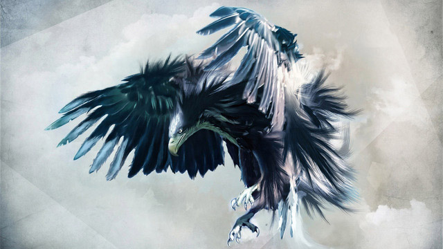 American Eagle HD Wallpapers | Download Free Bird Images