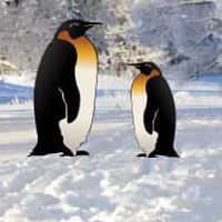 penguin-snow-land-escape.jpg