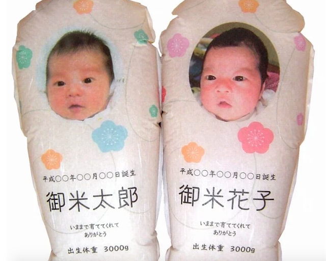 Wow! Bayi Karung Beras di Jepang Ini Laris Manis Saat Pandemi, Ternyata Begini Awal Mula Terciptanya Dakigokochi