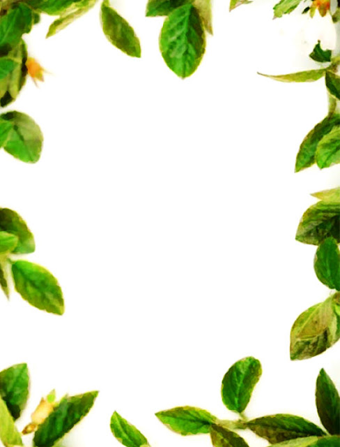 Bordes Decorativos Para Las Orillas