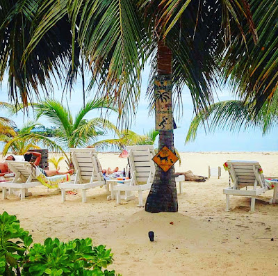 Remax Vip Belize: Many Palm trees.