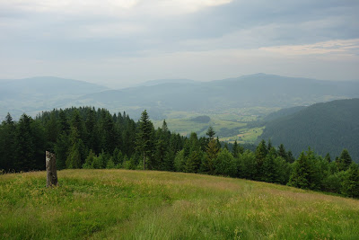 Stojąc na polanie Turbaczyk