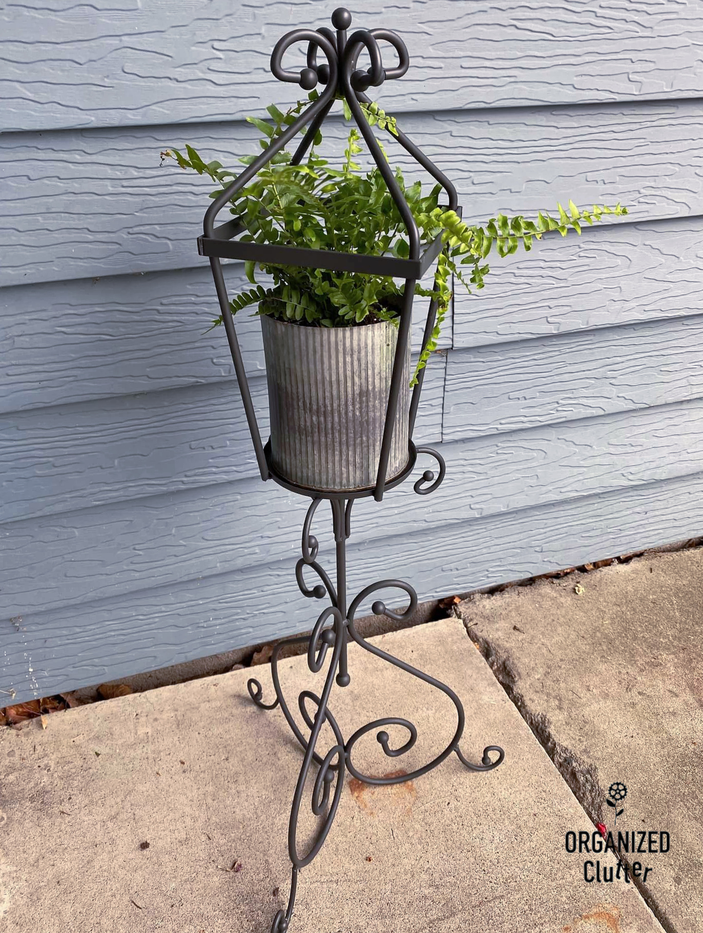 An Easy DIY Fern Stand From A Thrift Shop Find Organized Clutter