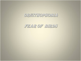 Ornithophobia, fear of birds 