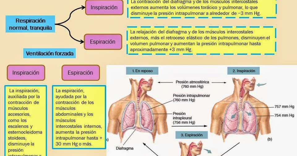 MECÁNICA DE LA VENTILACIÓN Y MECÁNICA