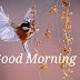 Top 10 Good Morning Have a Nice Day Images, Greetings, Pictures, Images, Greetings Photos