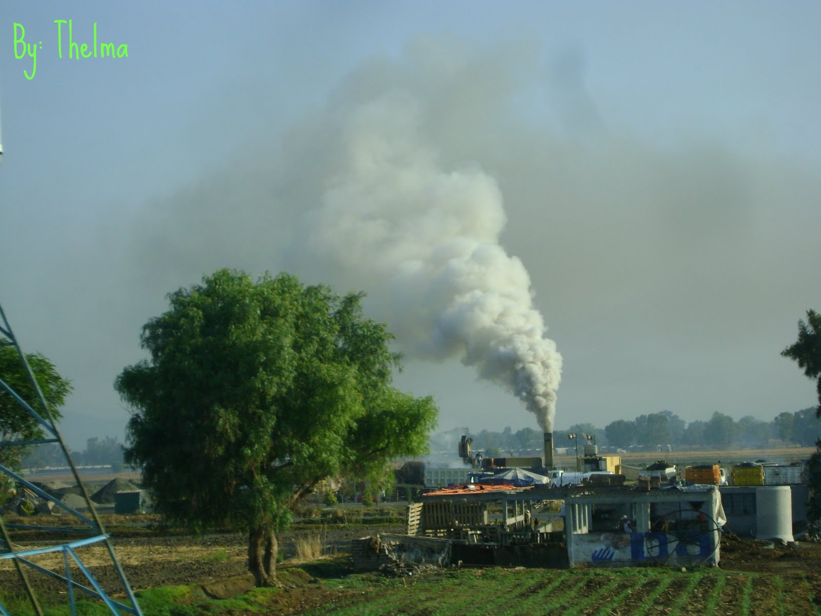 Thelma...*: Contaminación rural...*