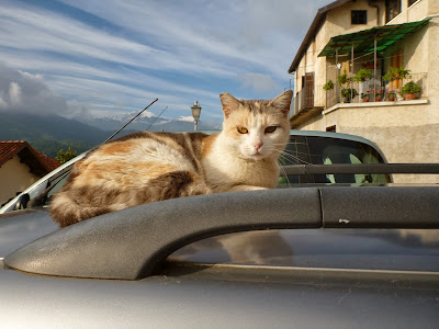 A Cat on a Car on the Way to Villavecchia