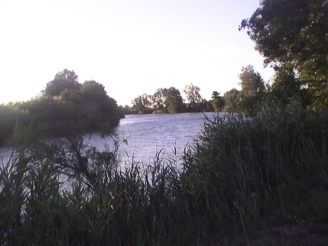 Partager le Voyage TOUR DE L’ÉTANG DE VENDRES VIII / les pampres de