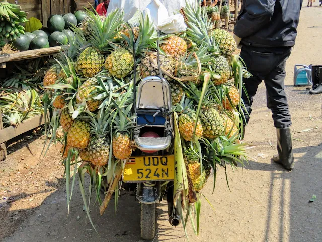 Pineapples on a motorcycle in Uganda