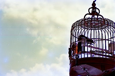 Chinese bird cage below sky