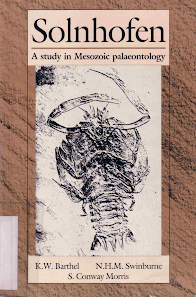 A Study In Mesozoic Palaeontology