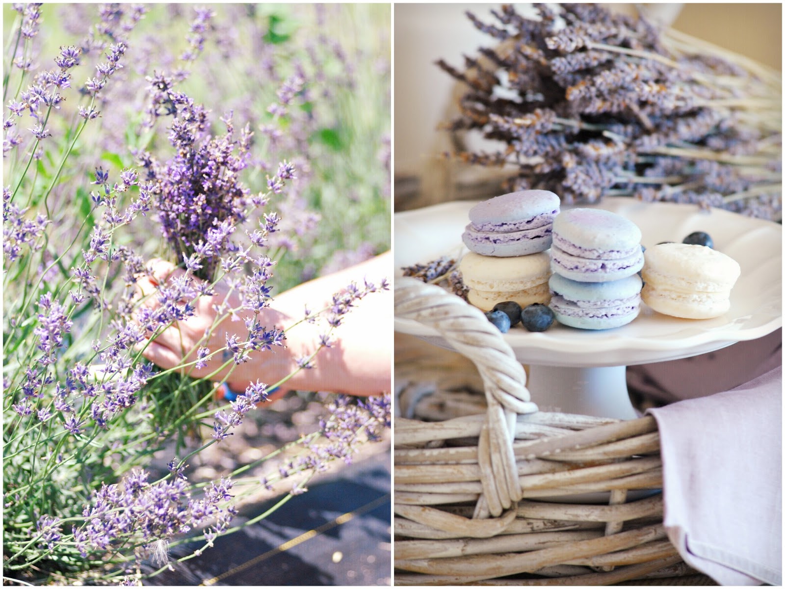 It Smells Like Lavender Sylvia's Simple Life