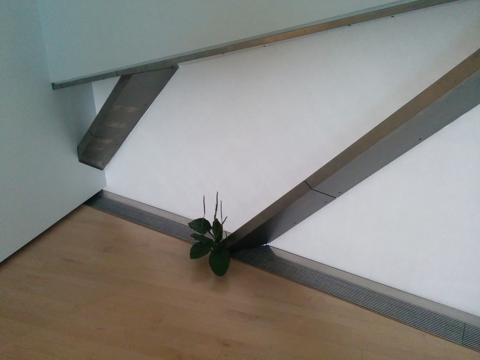 Not a real plant.