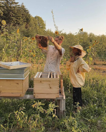 Πως να επιλέξετε μελίσσια οι νέοι μελισσοκόμοι