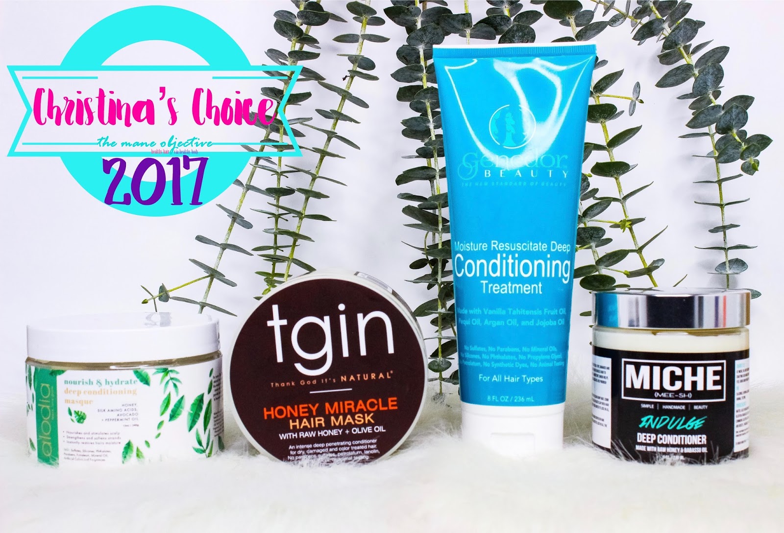 Christina S Choice 2017 Best Deep Conditioners For Natural Hair