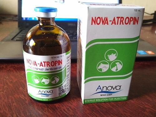 Nova Atropin - Chống Co Thắt Ruột, Cầm Tiêu Chảy Cấp 100 ML