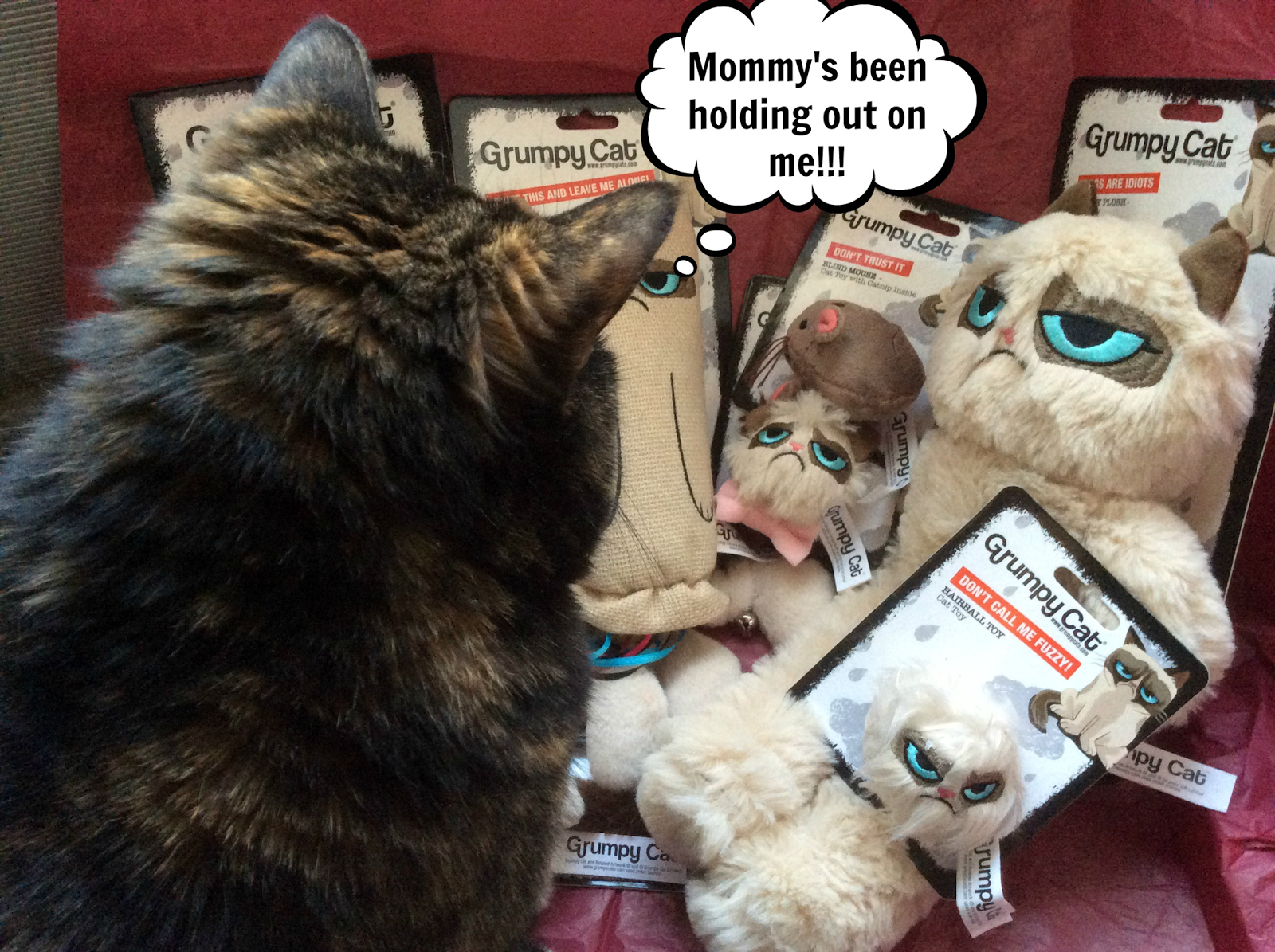 Melissa's Mochas, Mysteries and Meows: Fun Feline Finds: Grumpy Cat