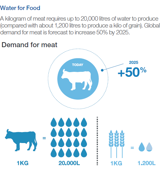 Harvesting some thoughts on Food Security