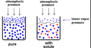 Latihan Soal Sifat Koligatif Larutan Beserta Pembahasannya Bisa Juara