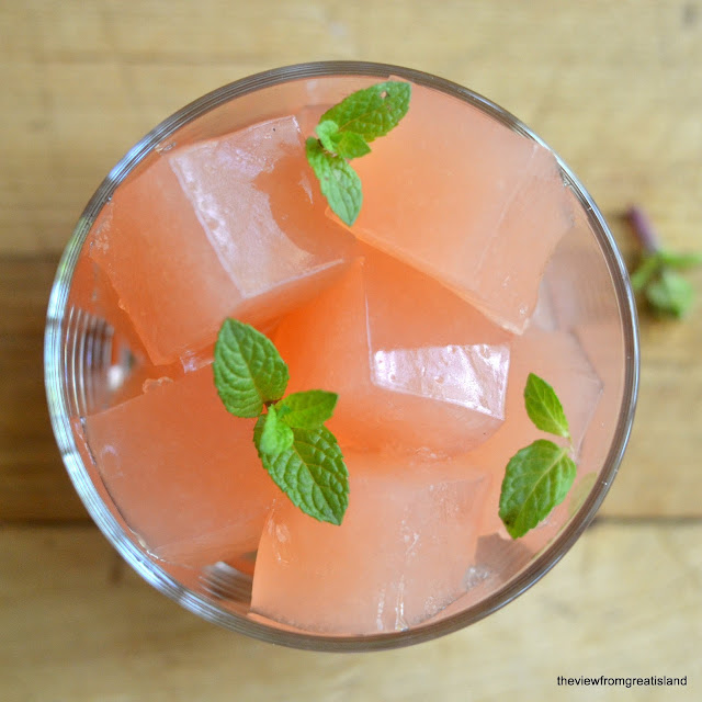 Homemade Fresh Grapefruit or Pomegranate 'Jello' The View from Great Island