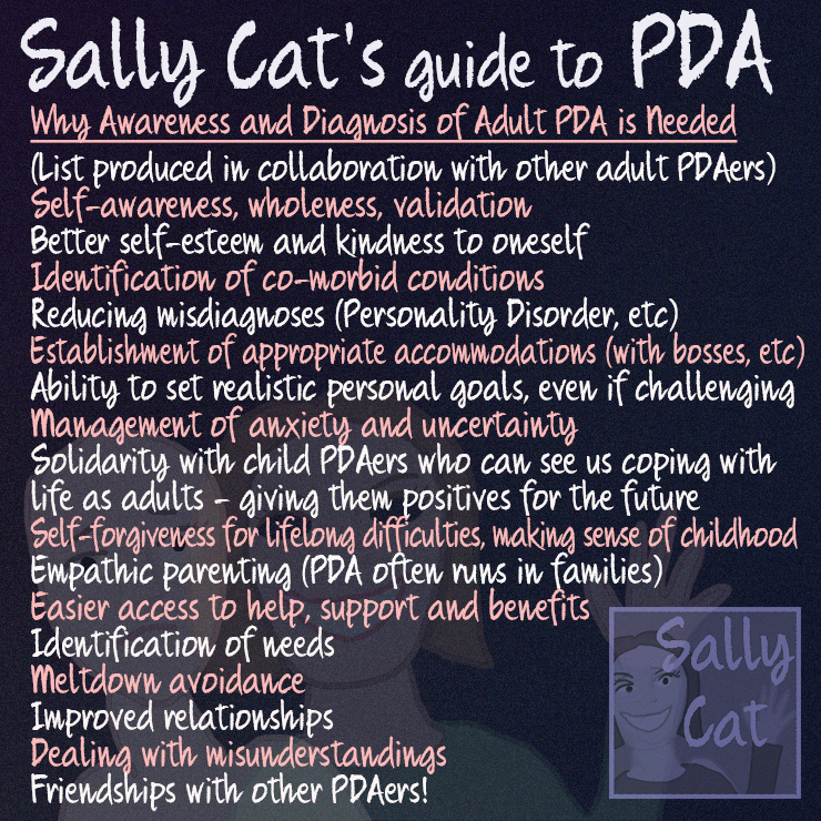 Sally Cat PDA Memes About Diagnosis