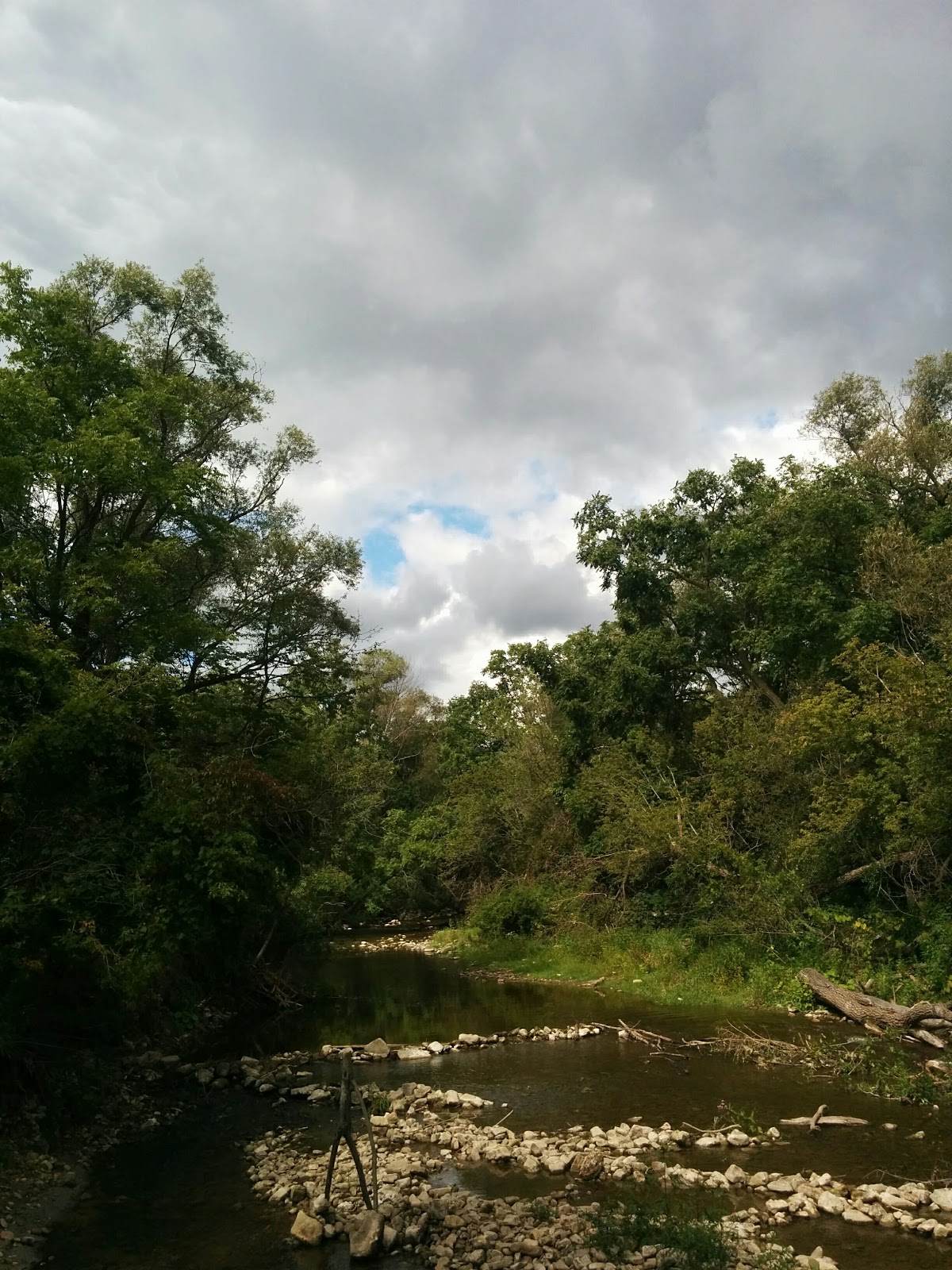 Spencer Creek Trail Photos