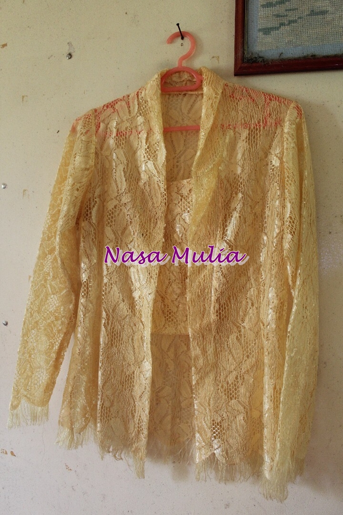 warna warni hidupku..............: Kebaya Renda