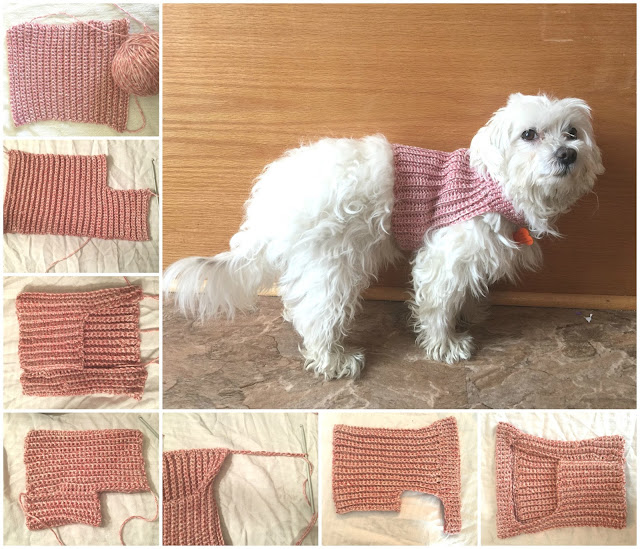 Messy, Beautiful, Fun DIY Crochet Dog Sweater