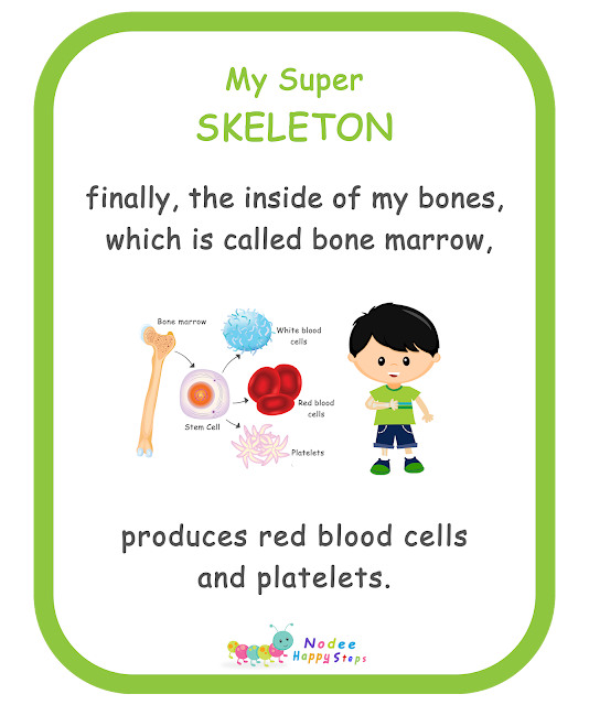 My Body For kids - My Super Skeleton