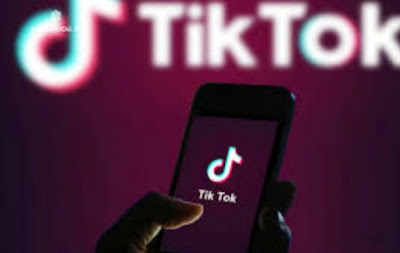 Tiktokedge.com To Free Followers On Tiktok