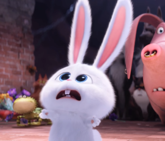 the secret life of pets animasyon