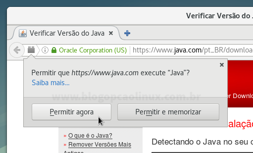 Permita a execução do plugin clicando em "Permitir agora"